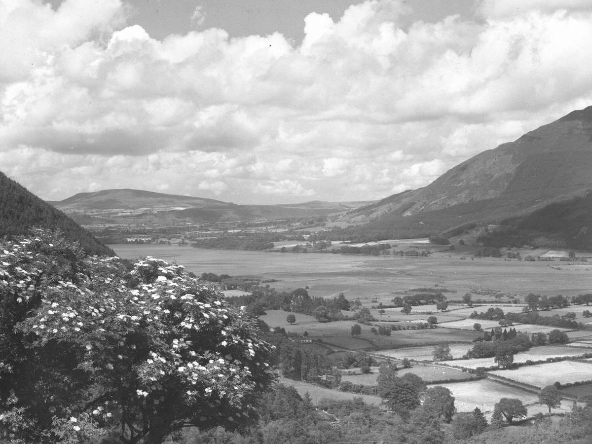 Bassenthwaite Landscape