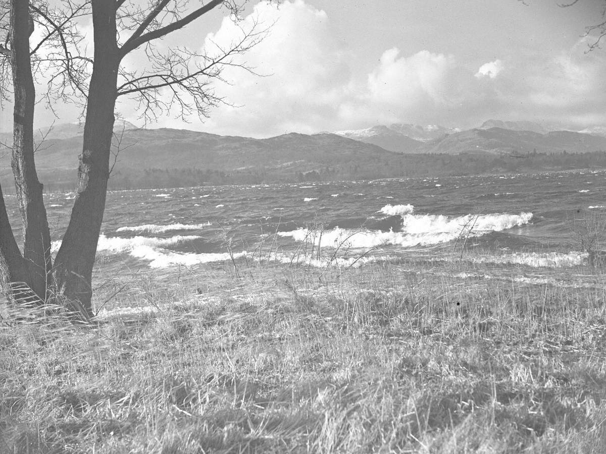 Waves on Windermere Art UK
