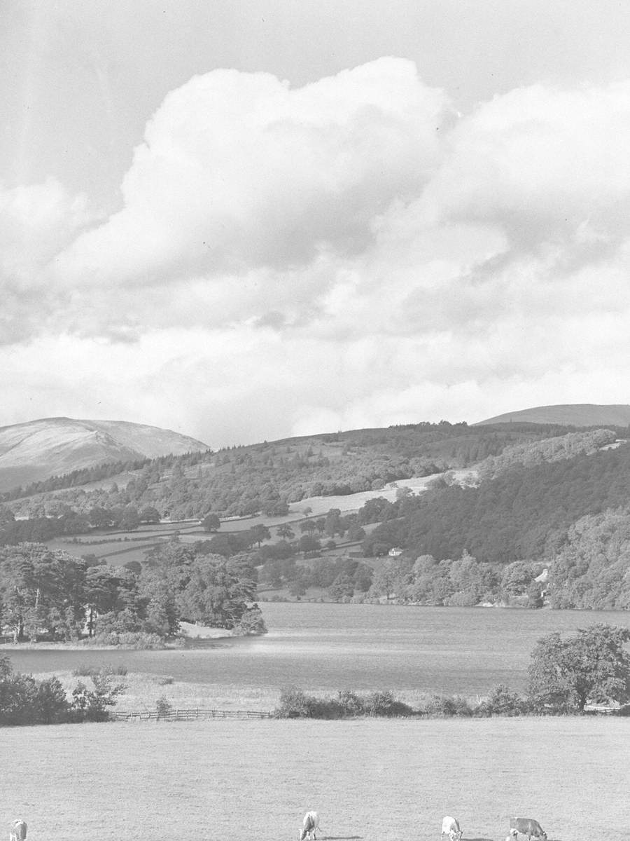 Esthwaite Water