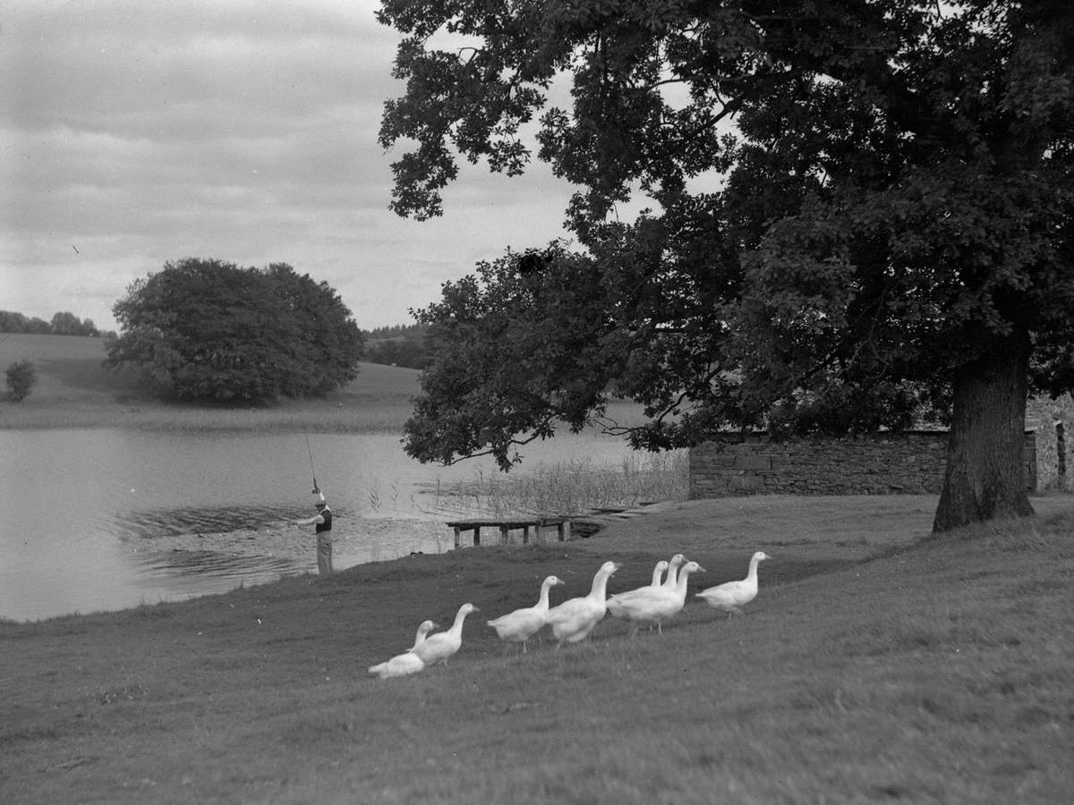 Fishing at Esthwaite