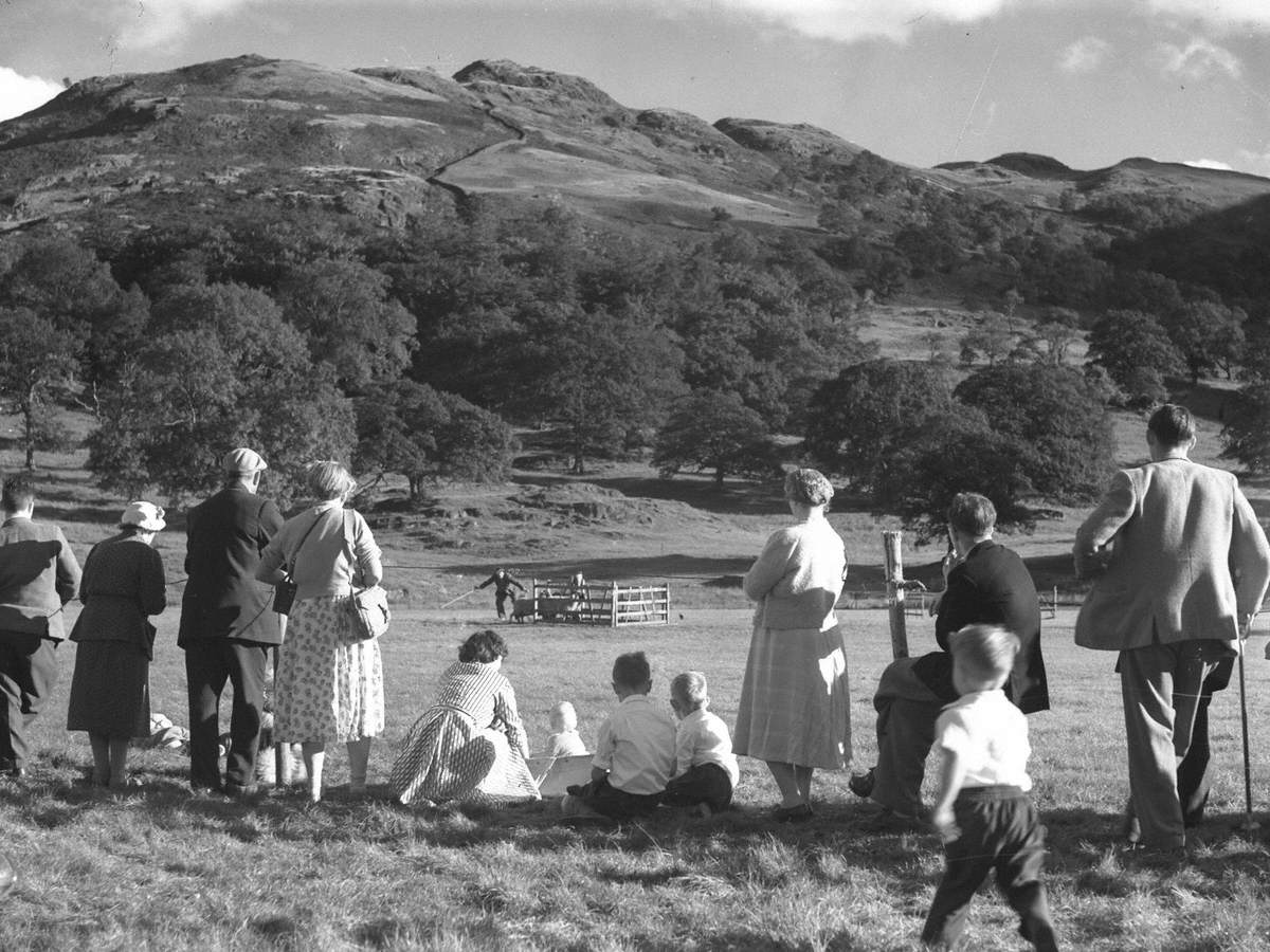 Sheep Trials