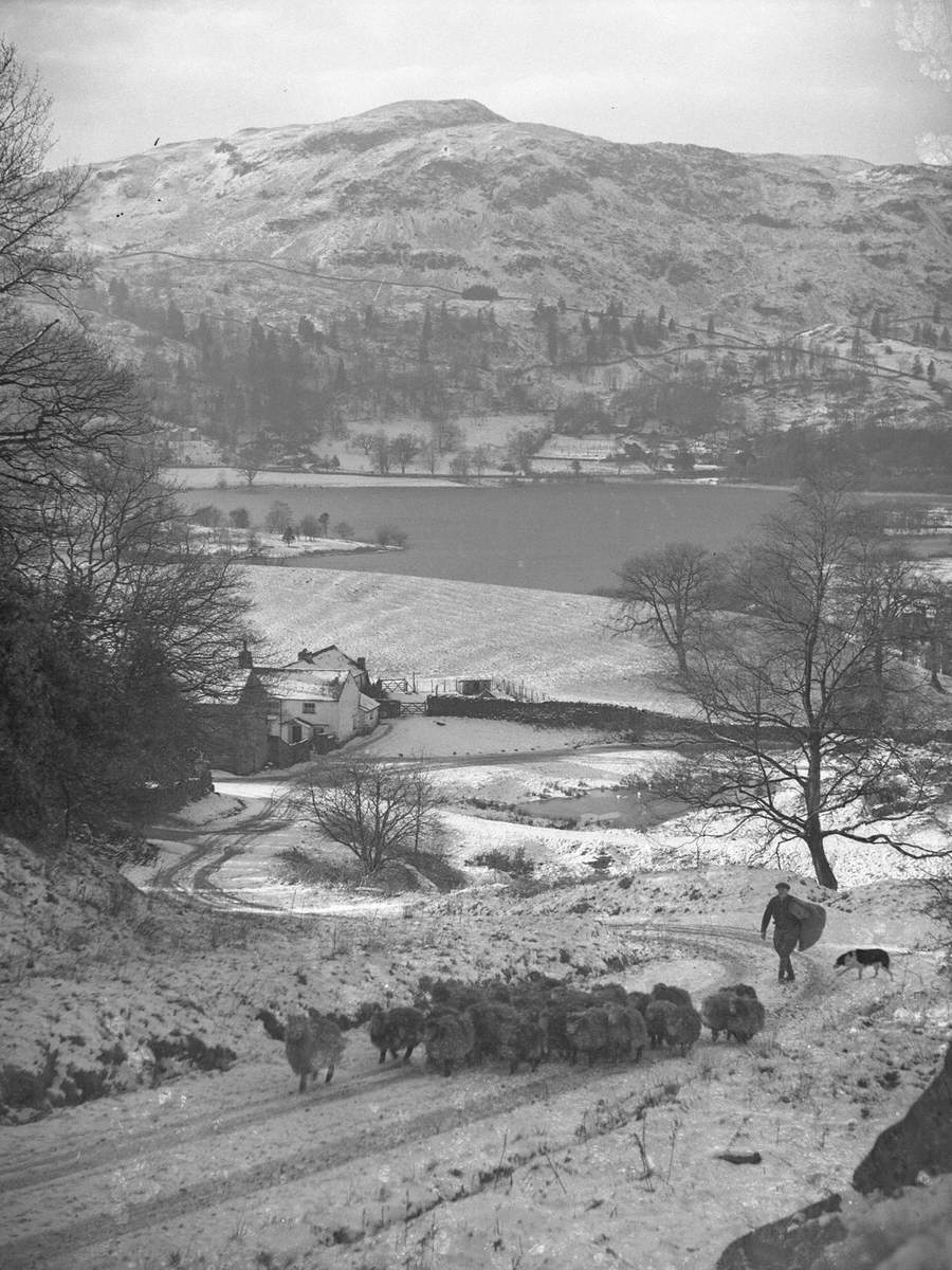 How Top Farm and Silver How, Grasmere