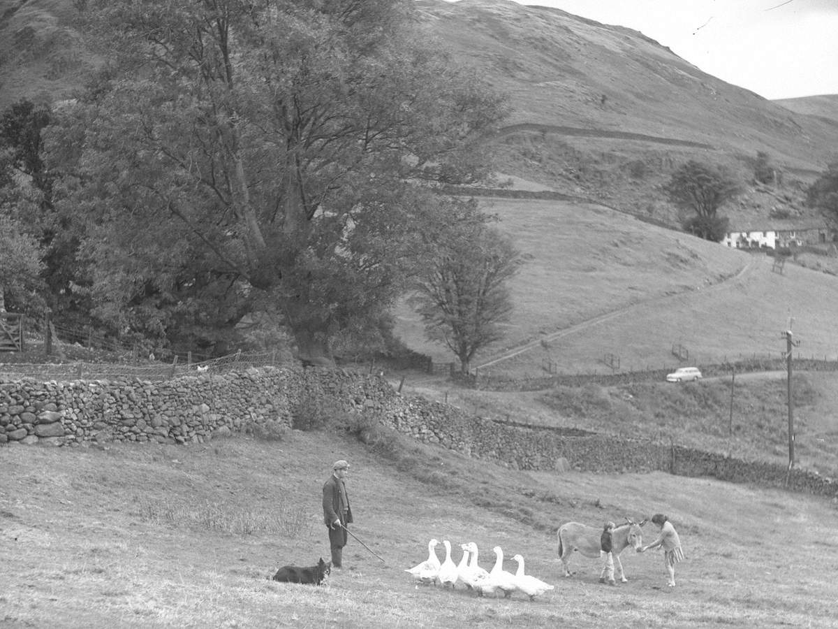 Martindale Farm