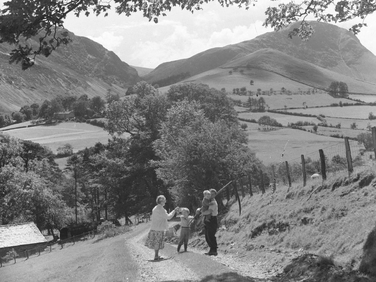 Newlands Landscape