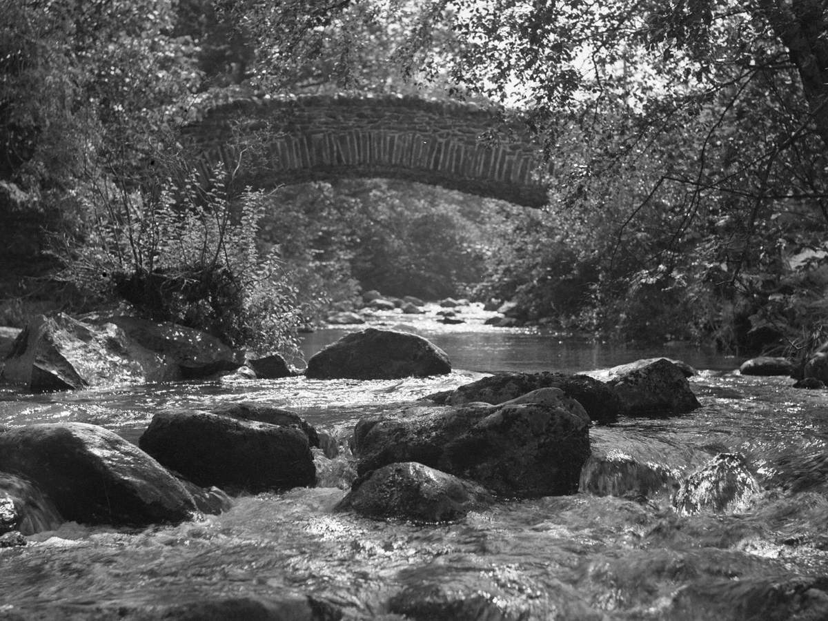 Bridge over Stream, Newlands