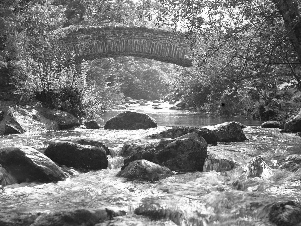 Bridge over Stream, Newlands