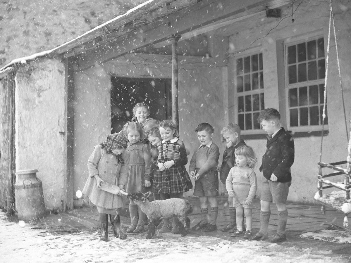 Birthday Party on Farm, Milnthorpe