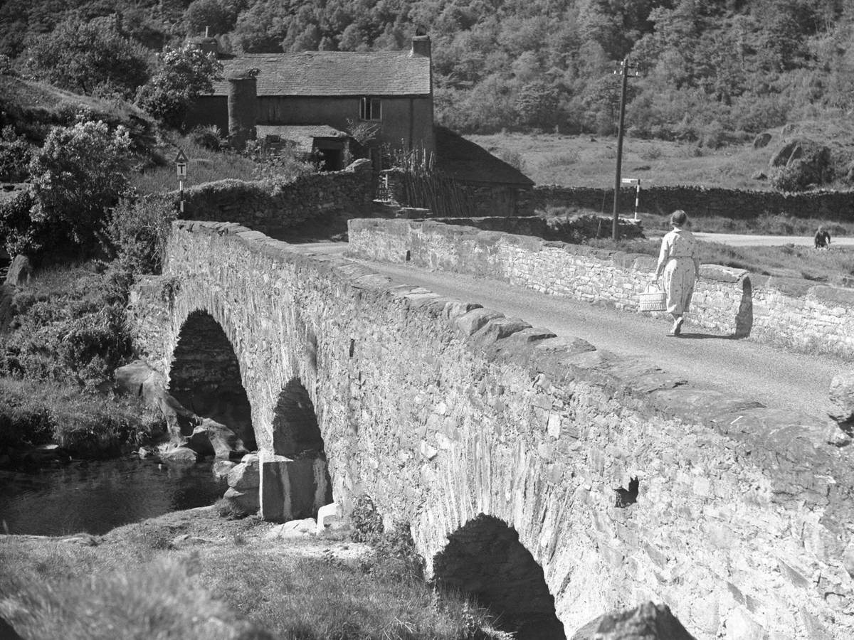 Bridge and Farm