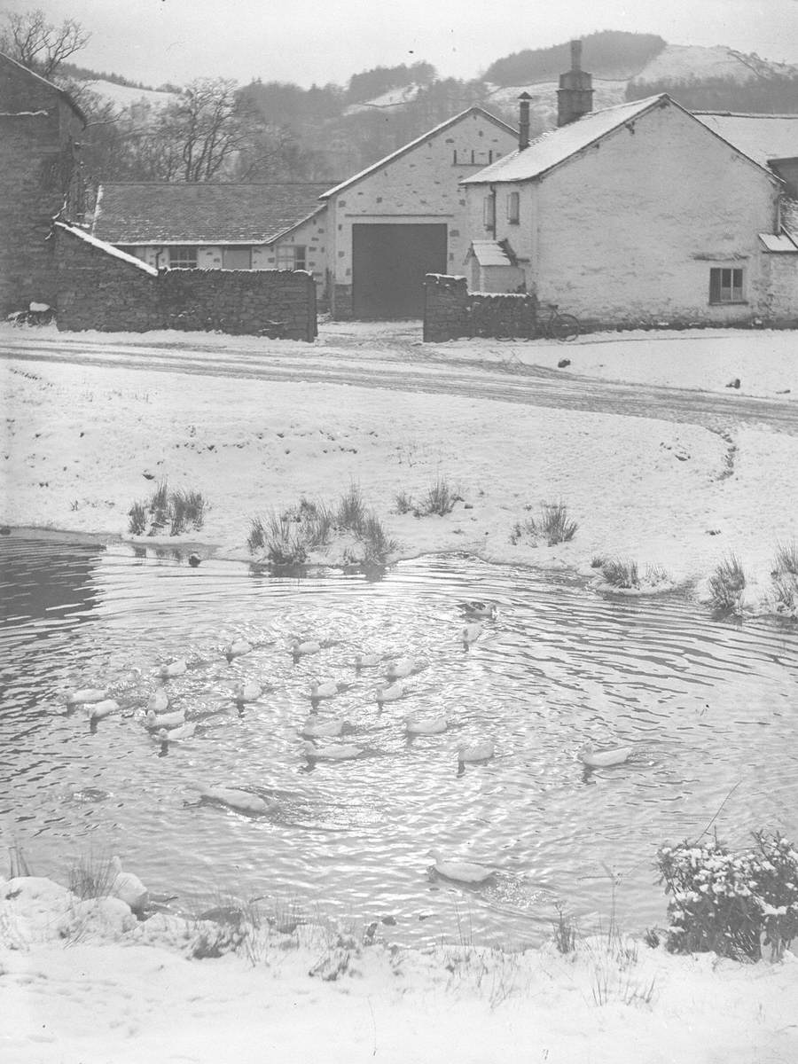 Farmhouse in Snow