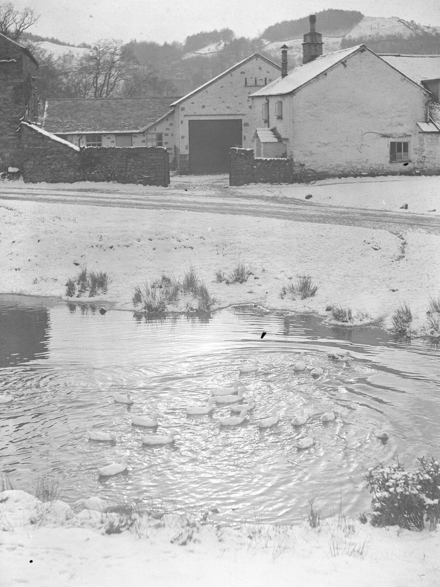Farmhouse in Snow