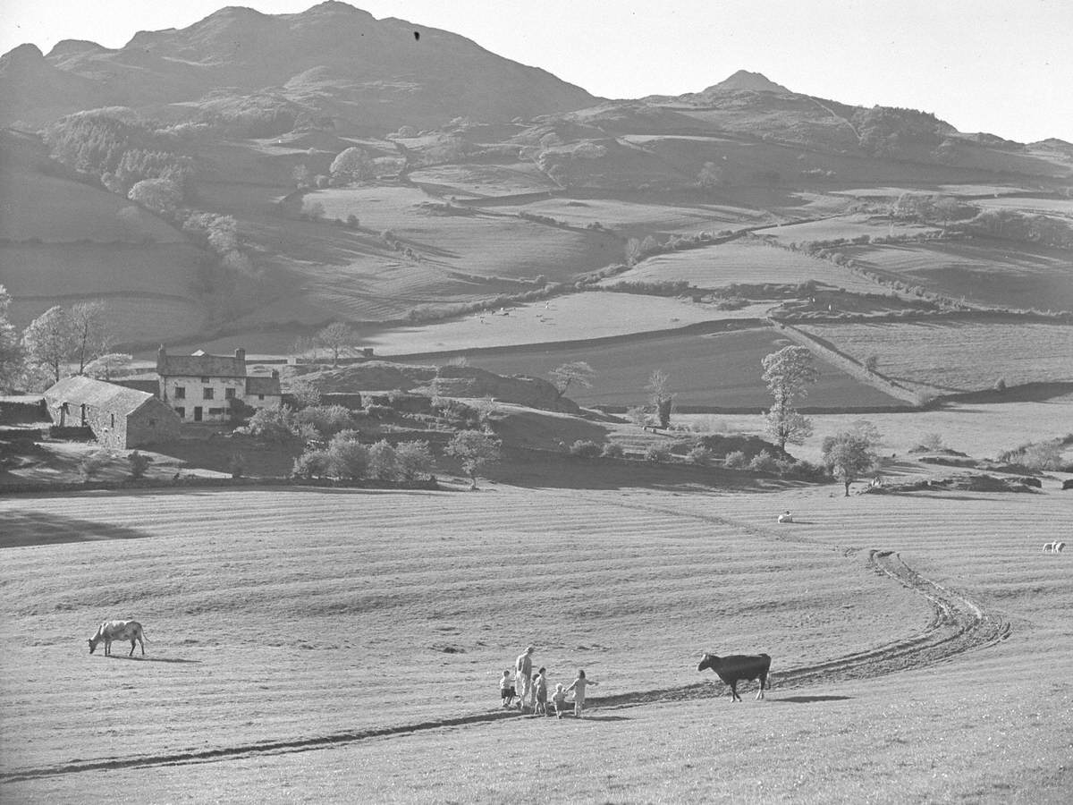 Farming Landscape