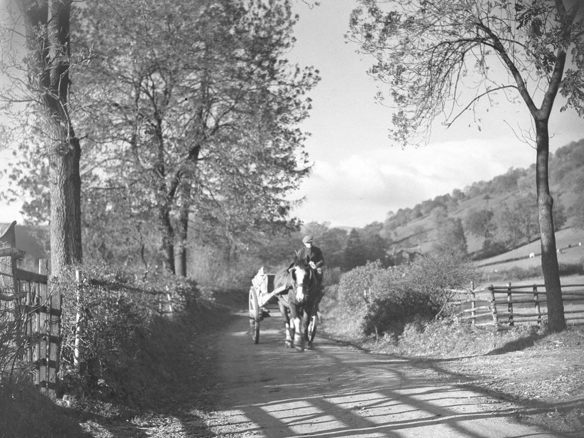Horse and Cart