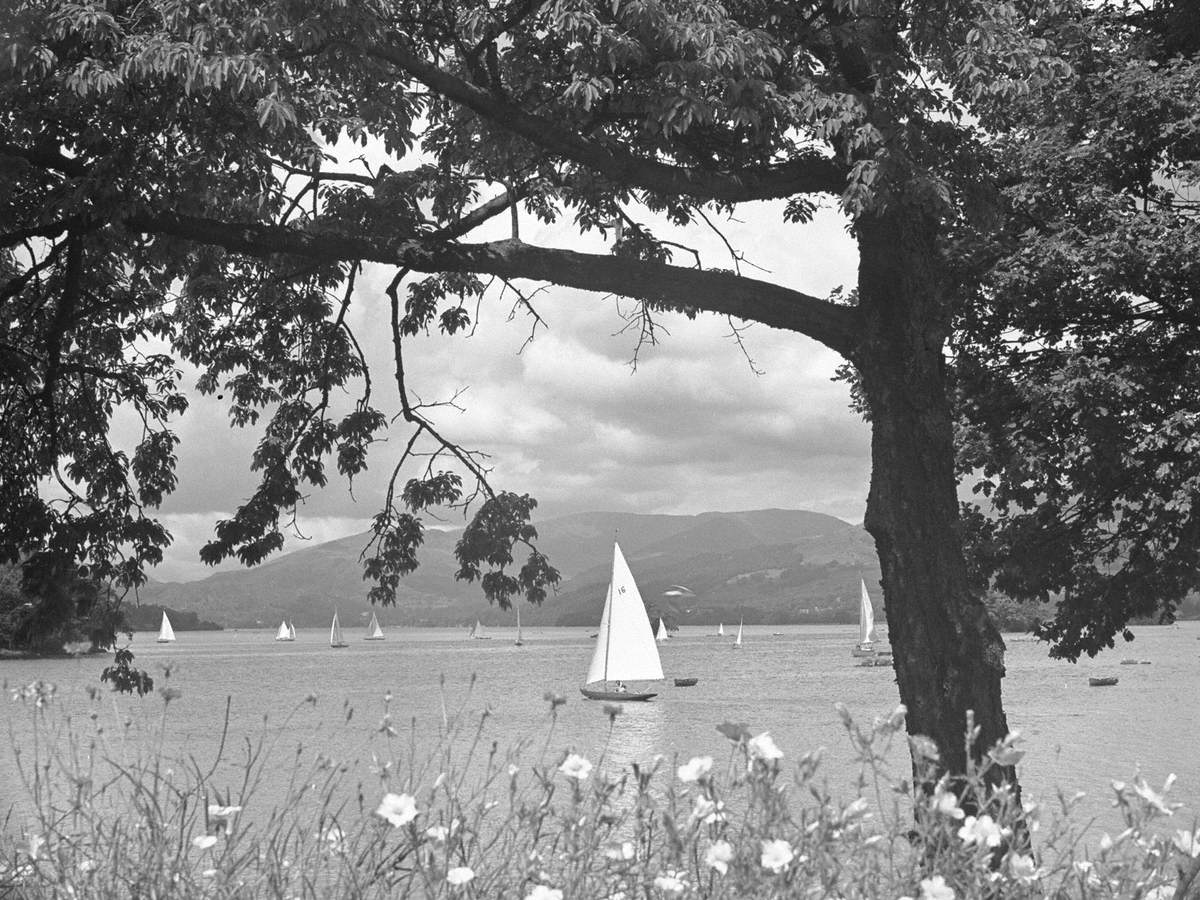 yachts for sale windermere uk