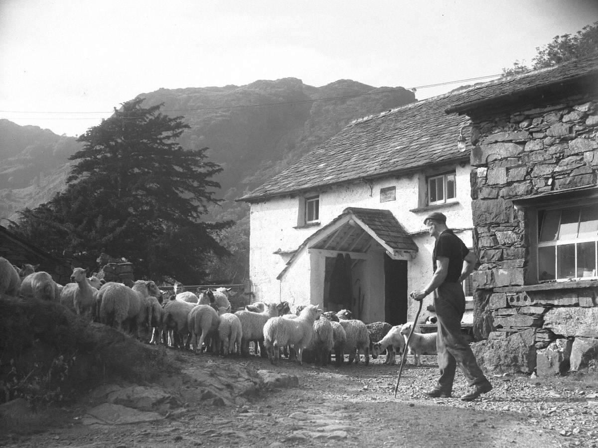 Yew Tree Farm, Coniston