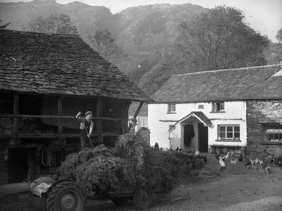 Yew Tree Farm, Coniston