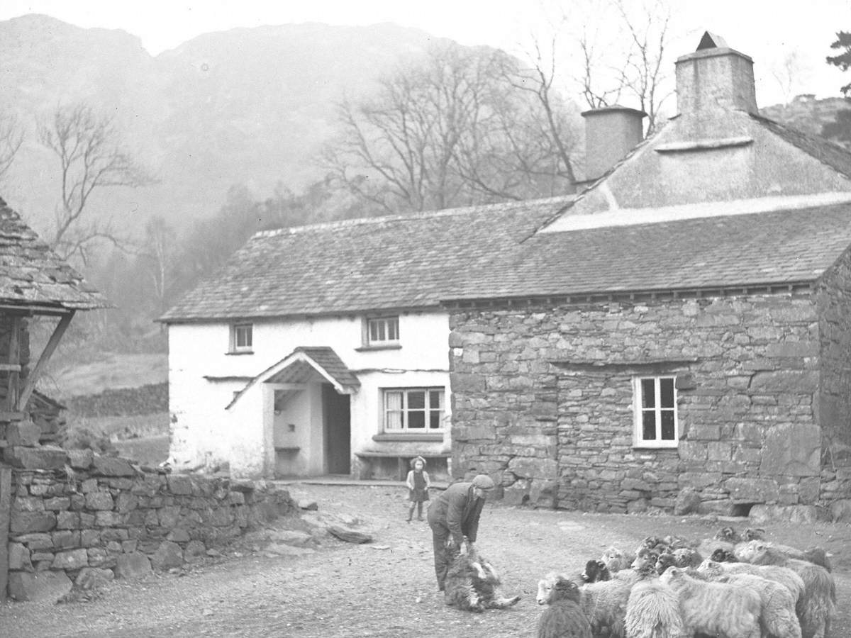 Farmer with Sheep, Yew Tree Farm