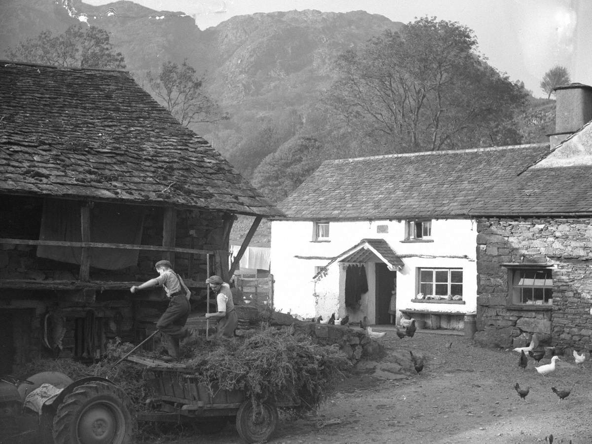 Activity in the Farmyard at Yew Tree Farm