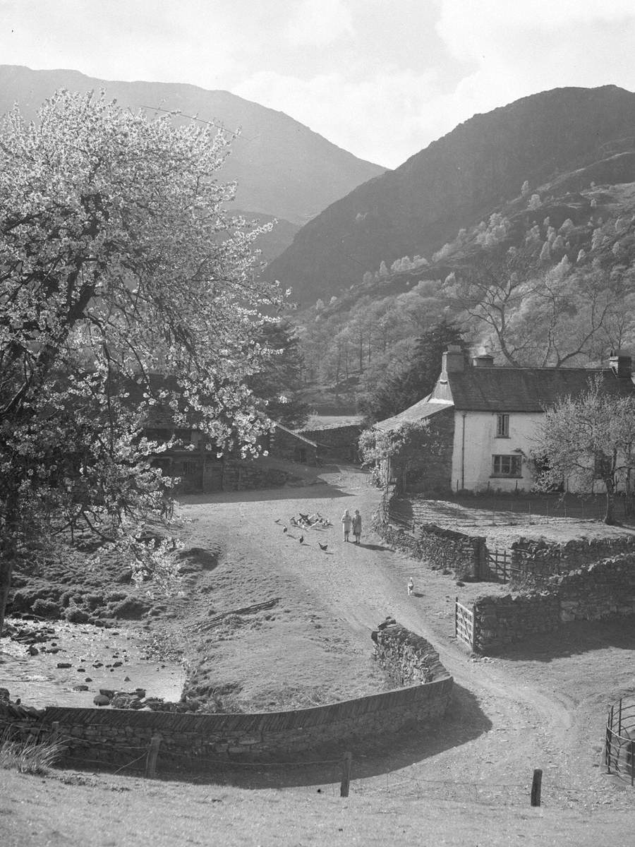 Yew Tree Farm, Coniston