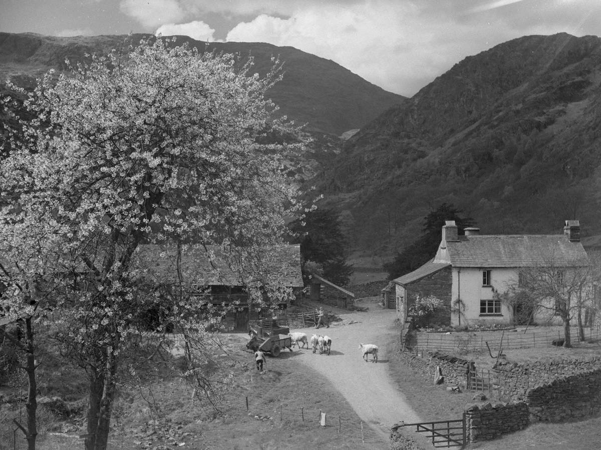 Yew Tree Farm, Coniston