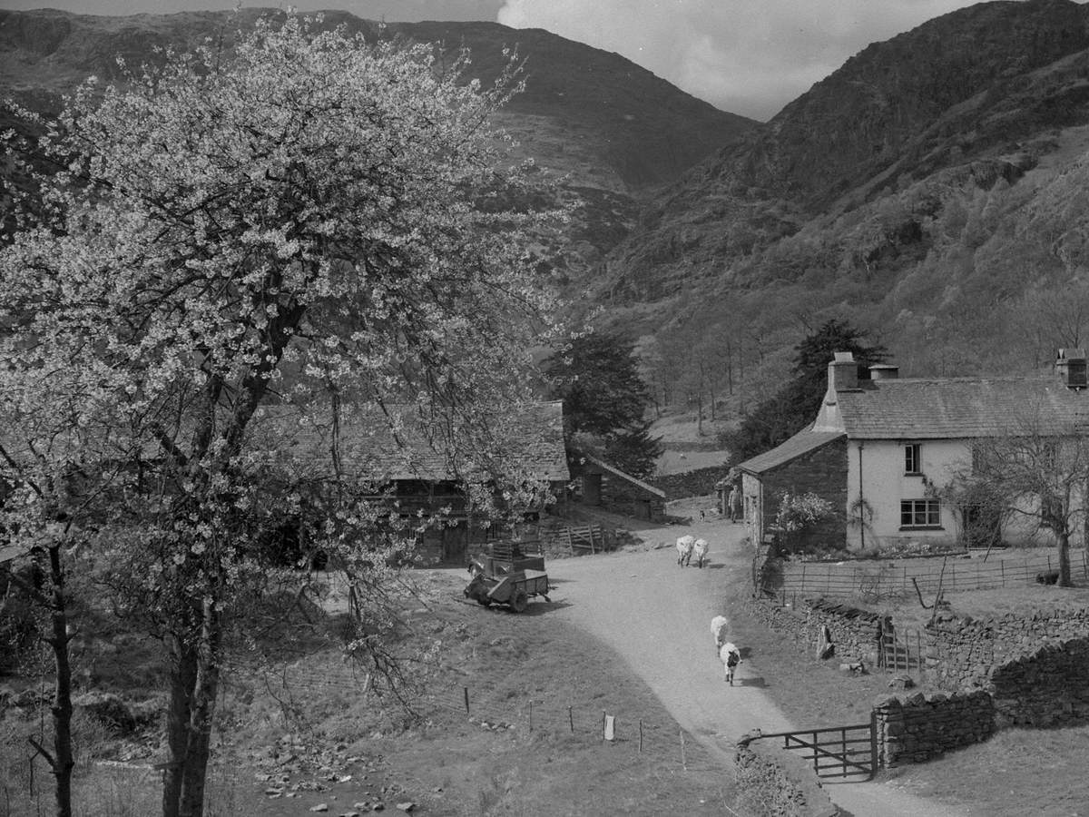 Yew Tree Farm, Coniston