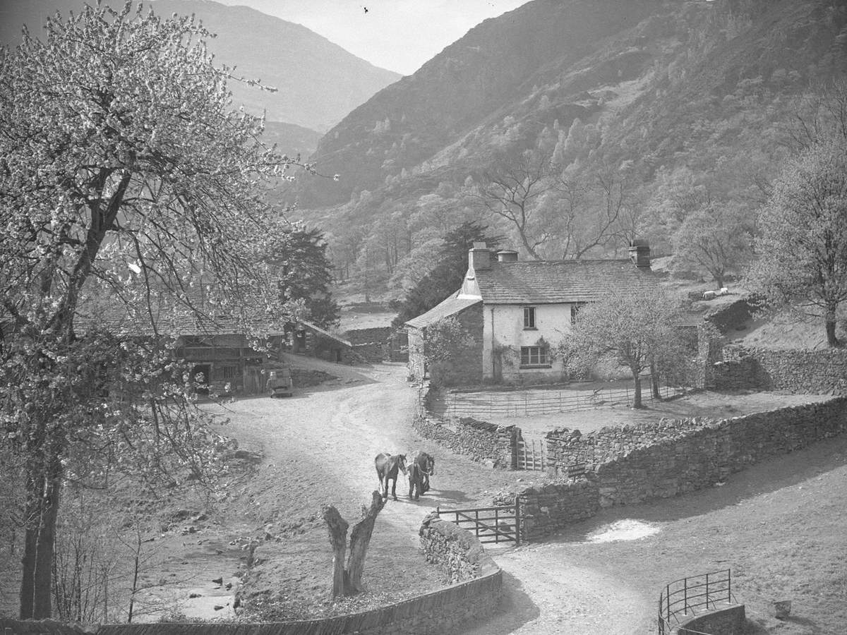 Farmer Leading Horses, Yew Tree Farm