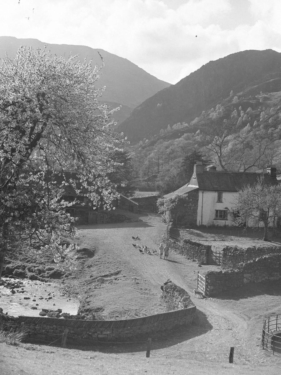 Yew Tree Farm, Coniston