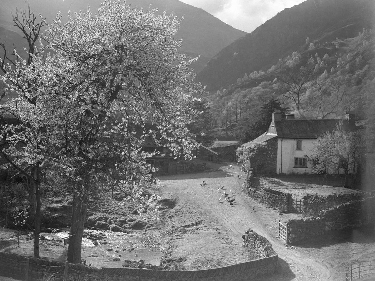 Yew Tree Farm, Coniston