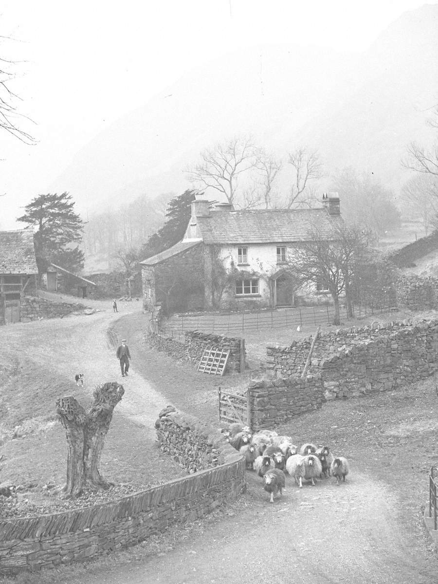 Yew Tree Farm, Coniston