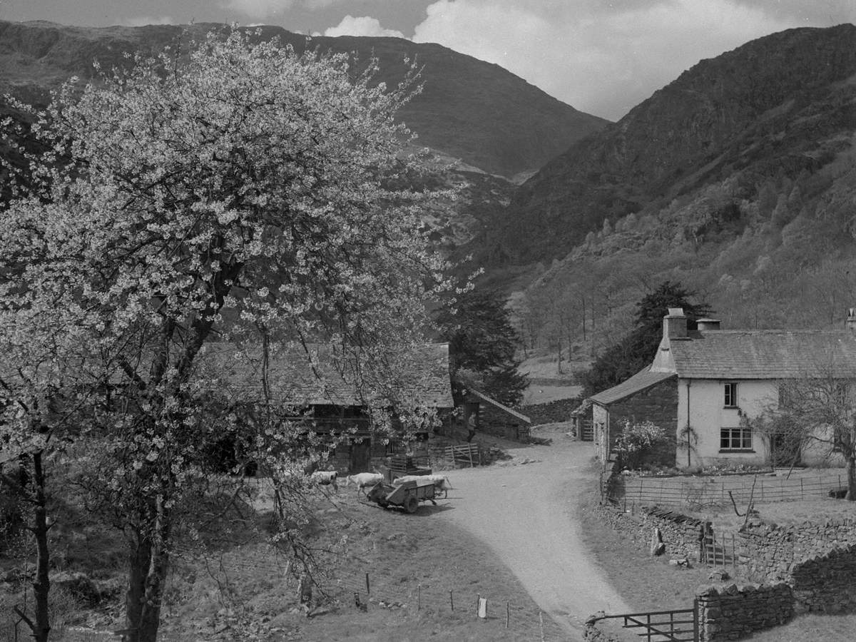 Yew Tree Farm, Coniston