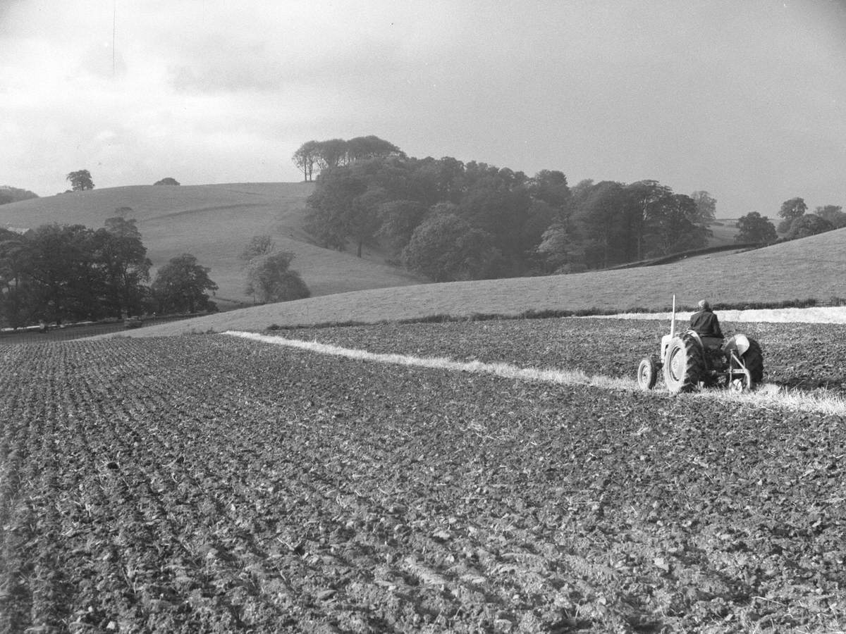 Tractor Ploughing