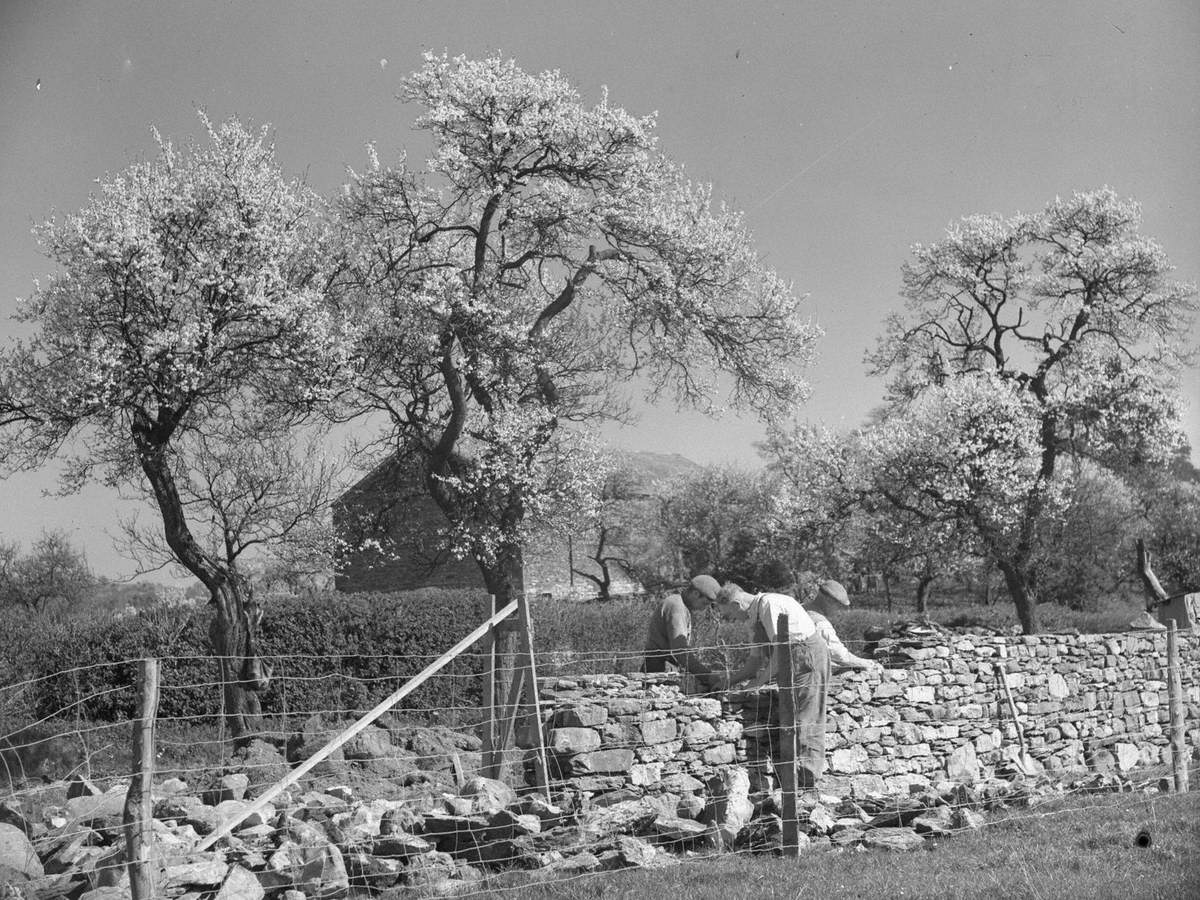 Wall Building, Penrith