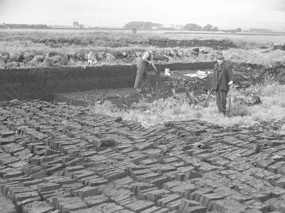 Peat Cutting