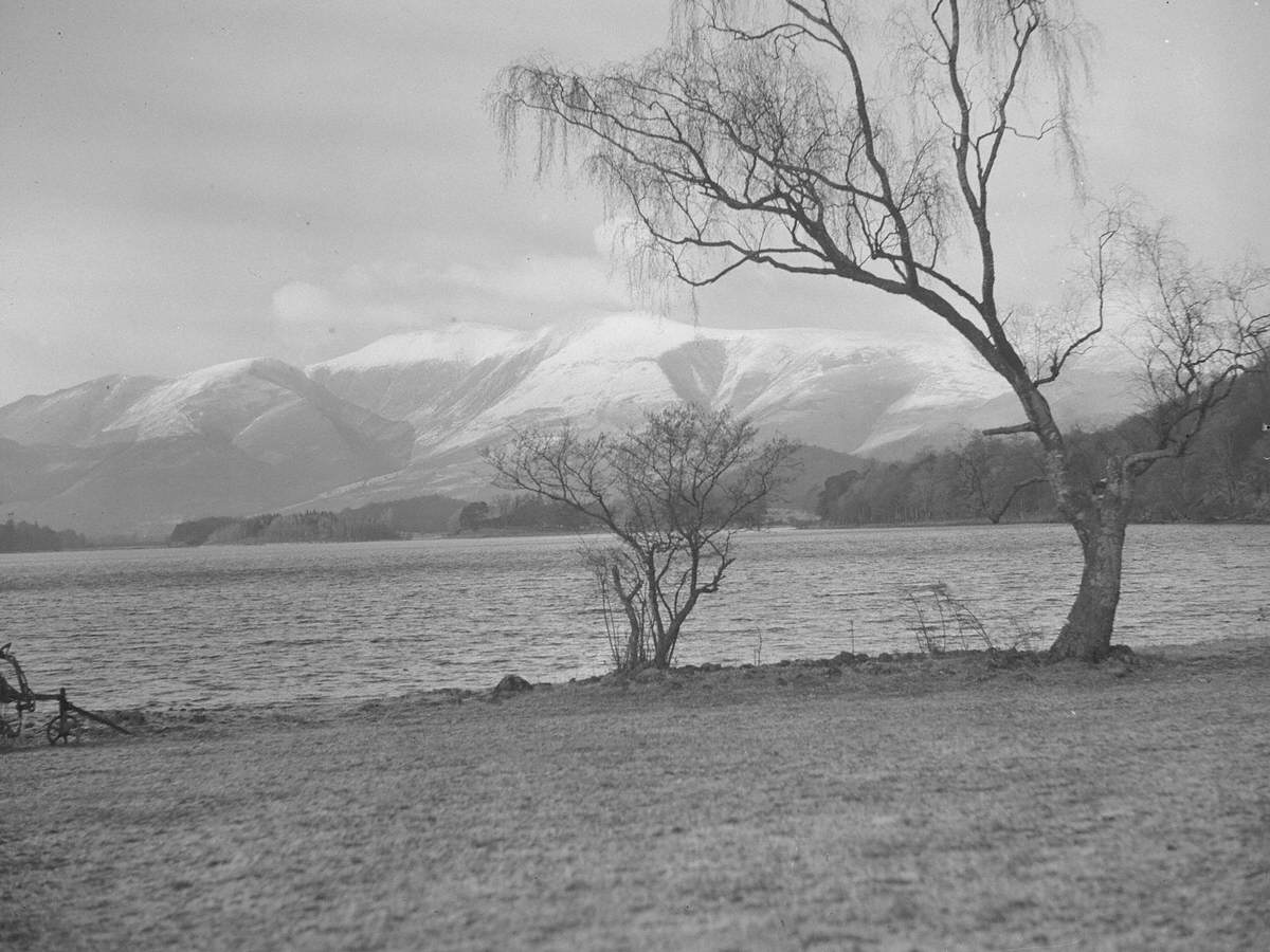 Lake View in Winter