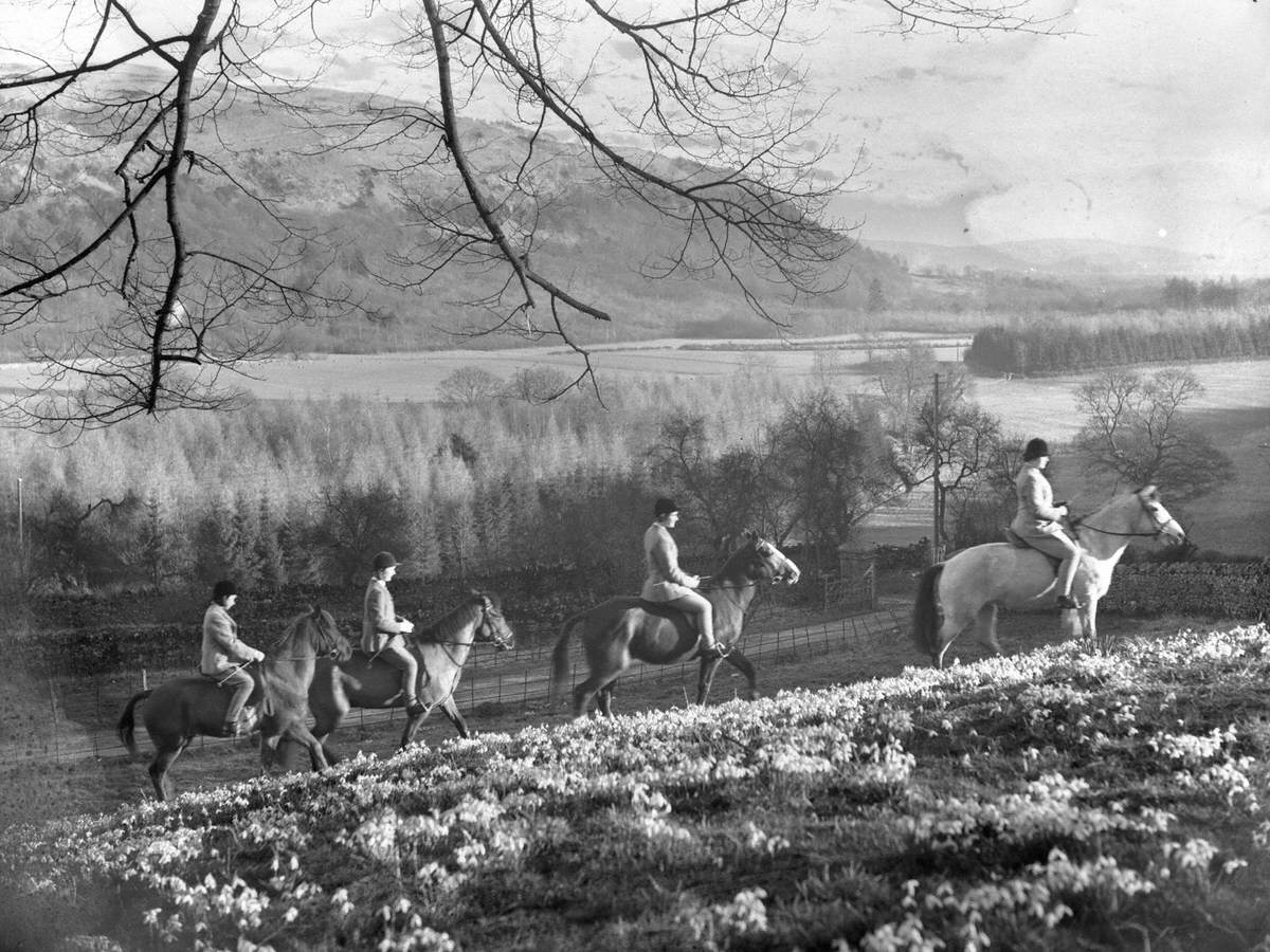 Horse Riders in Snowdrops