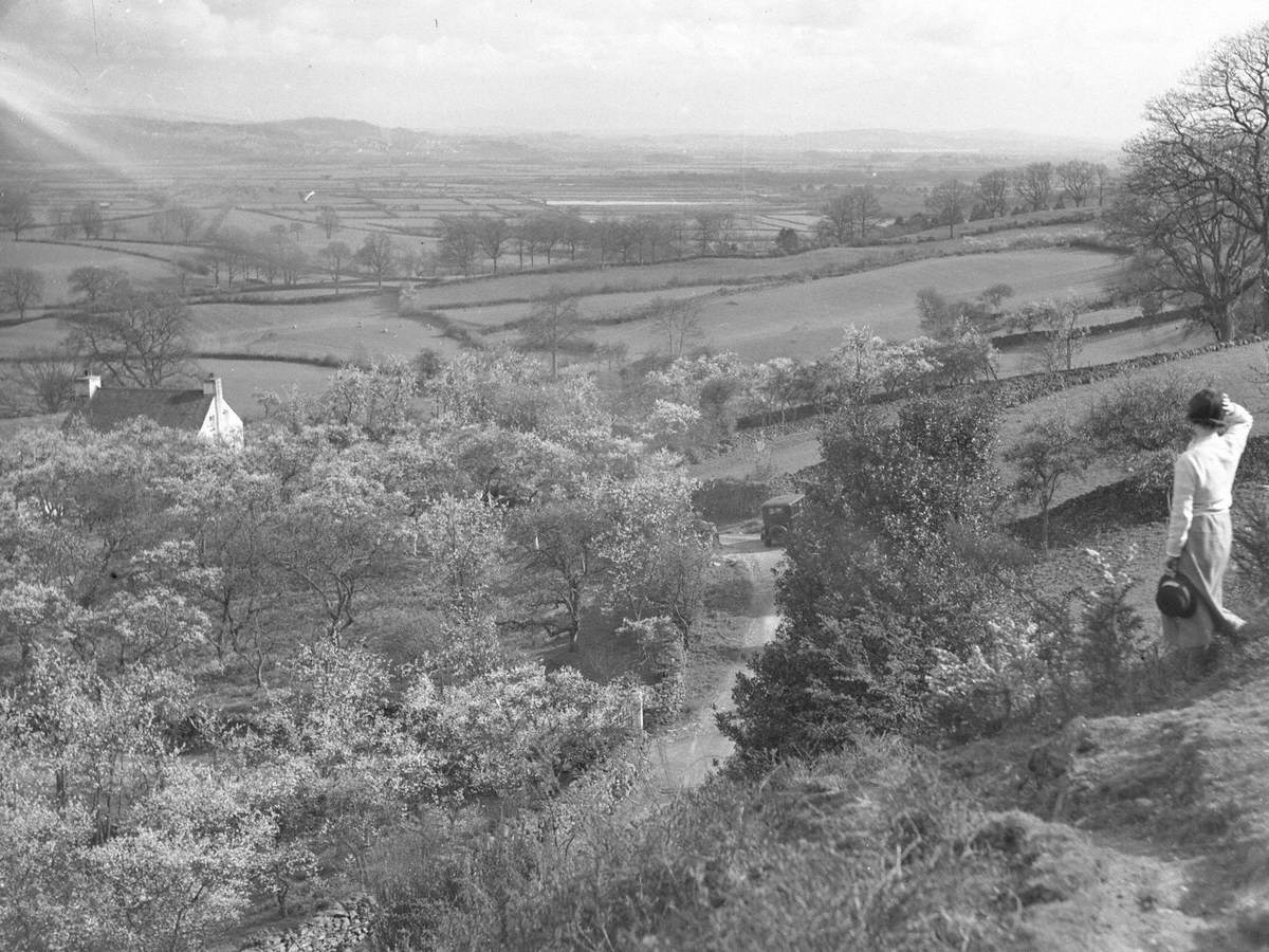 Farming Landscape