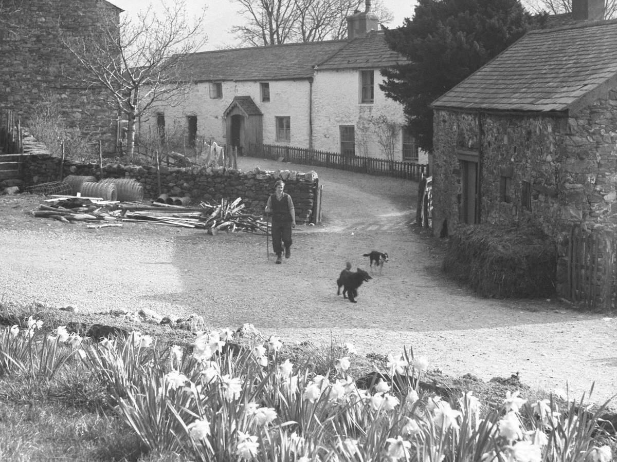 Farming Life | Art UK