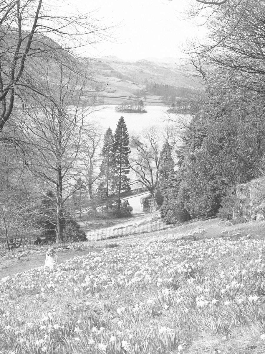 Daffodils and Lake, Scale