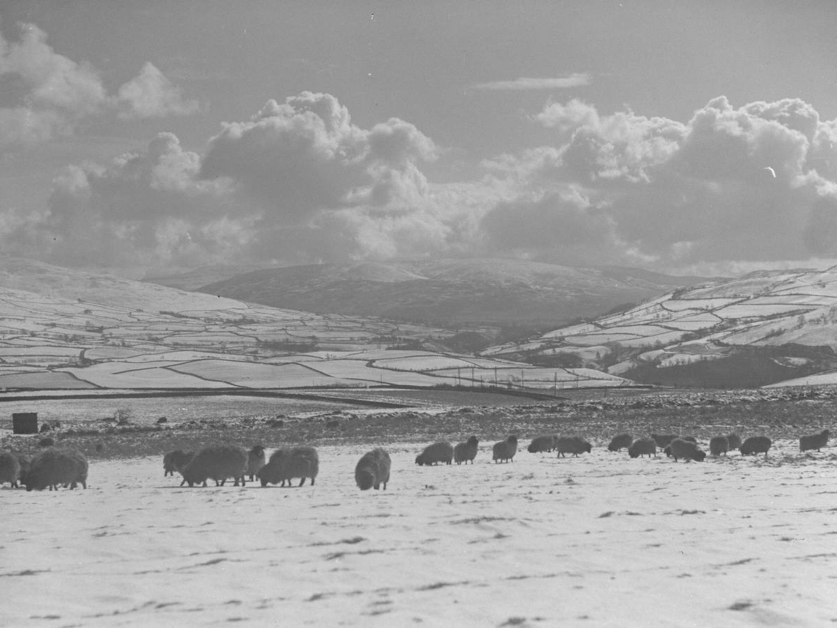 Winter in Lunesdale from Lowgill