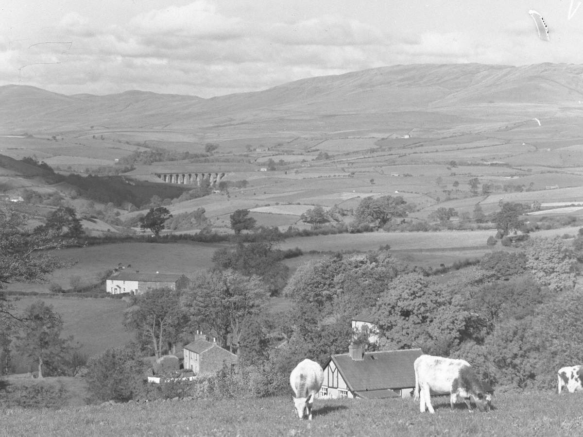 Lunesdale Landscape