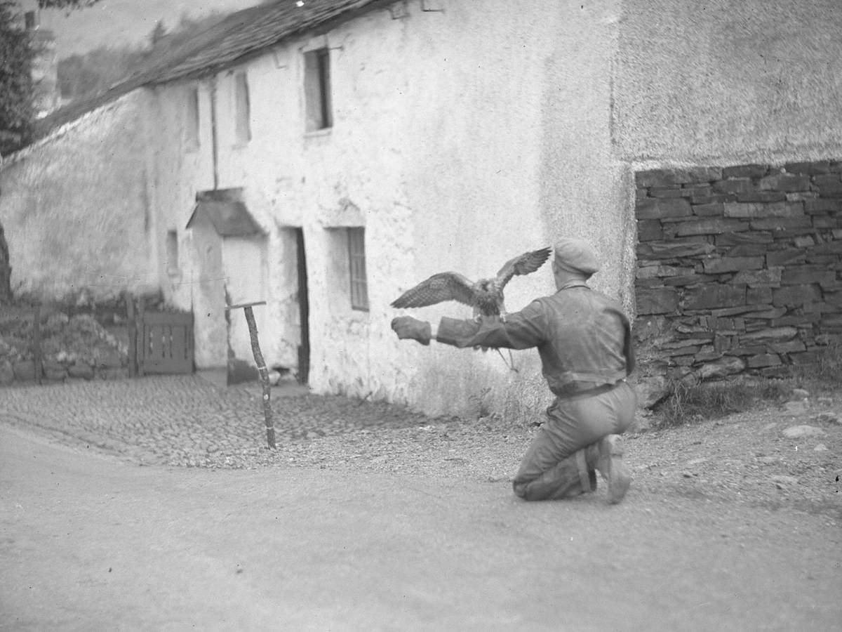 Man with Bird of Prey