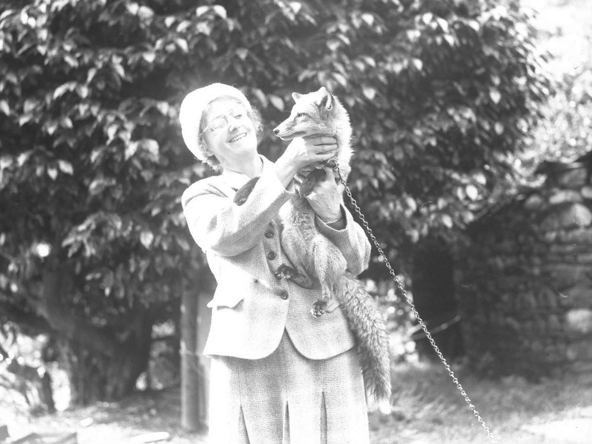 Woman and Borrowdale Fox