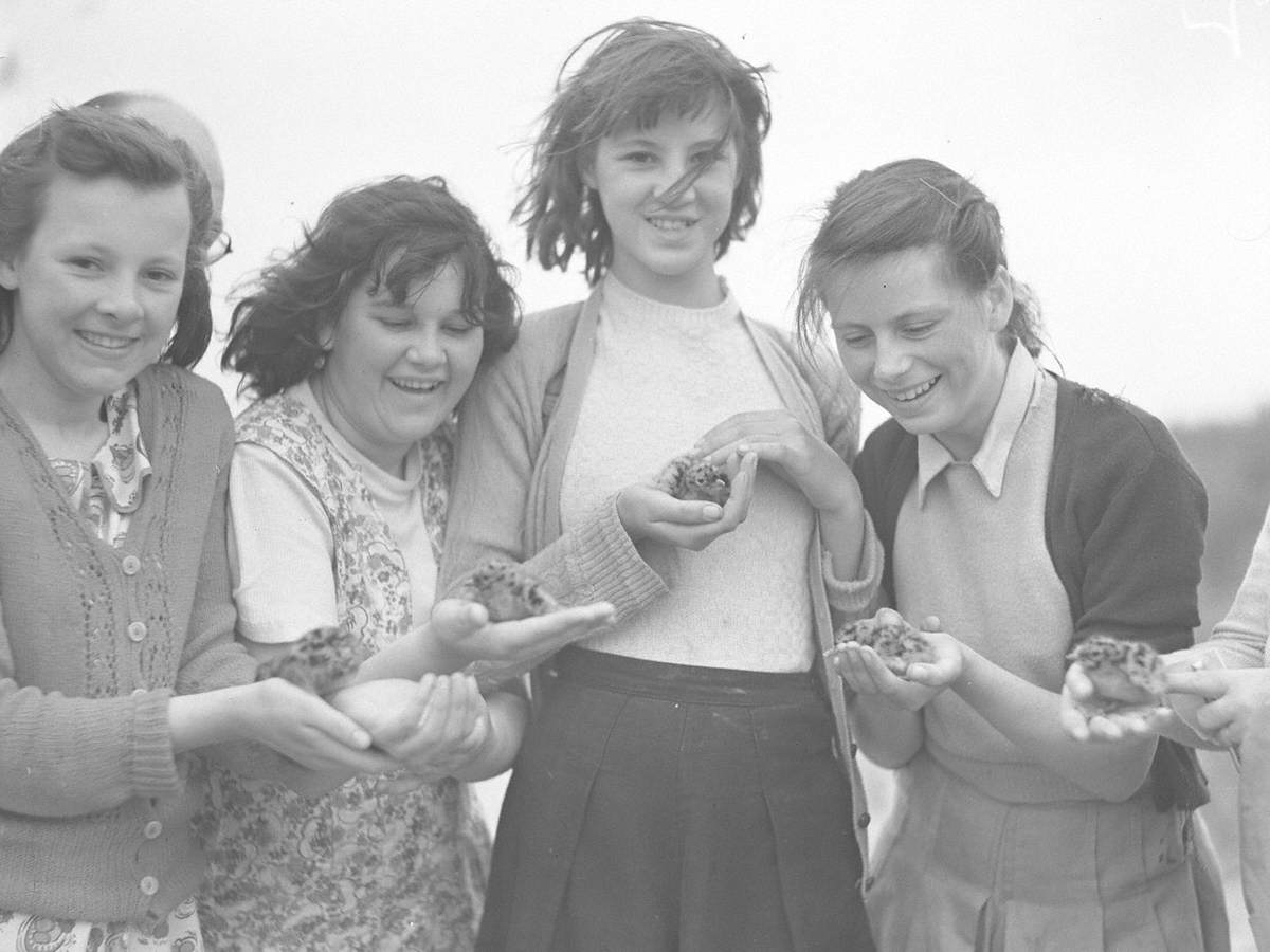 Girls Holding Chicks