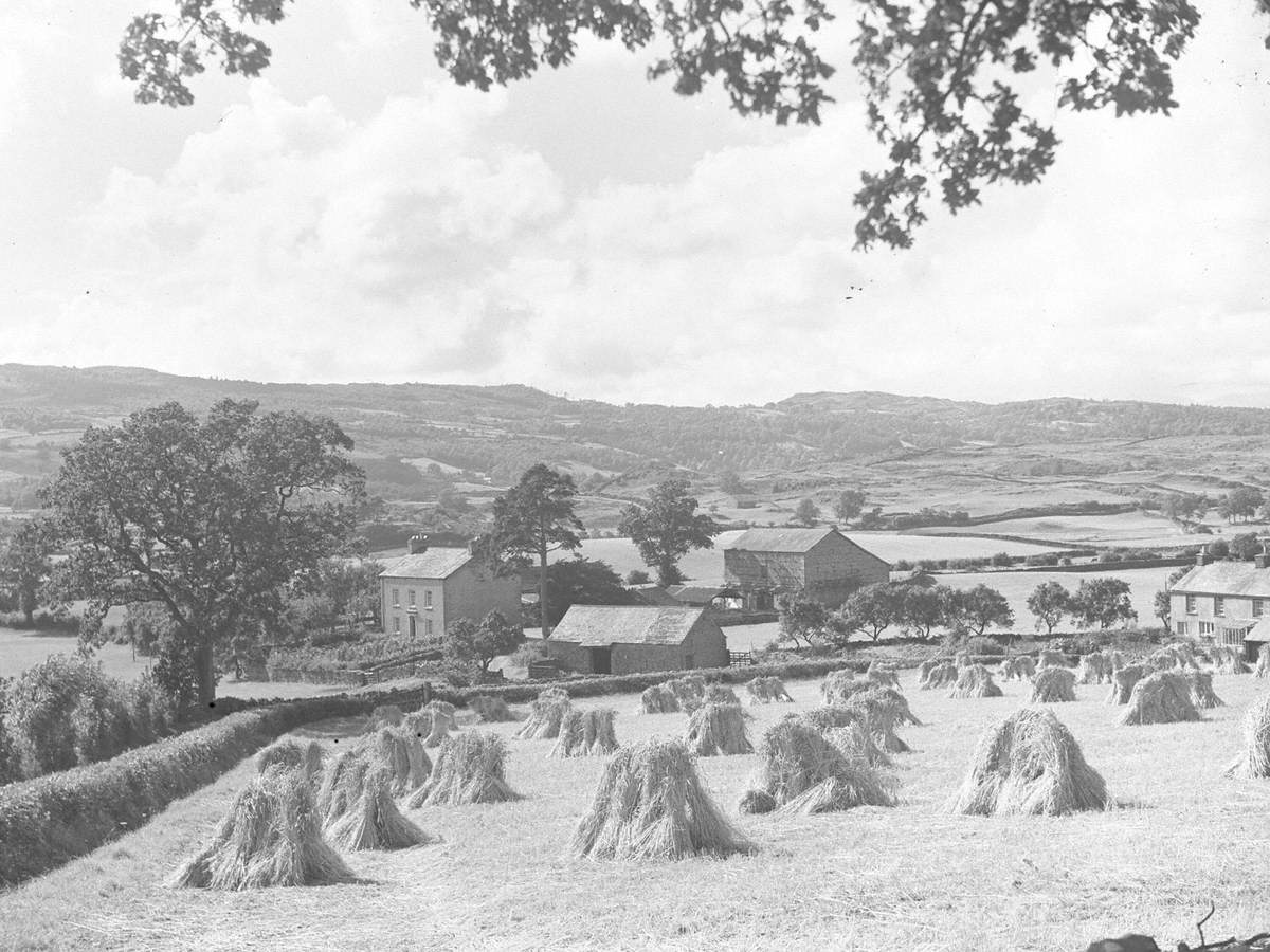 Broad Oak, Crosthwaite