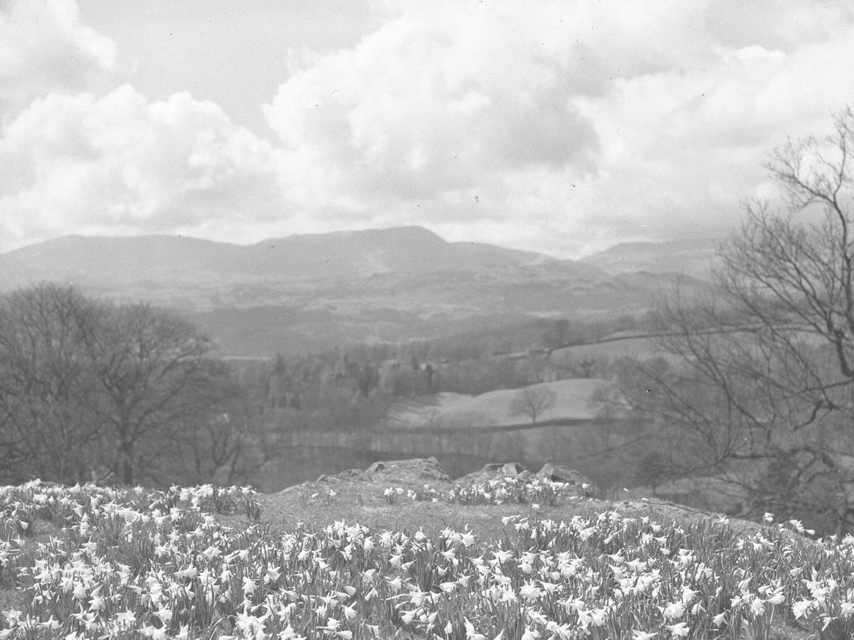 Spring at Troutbeck