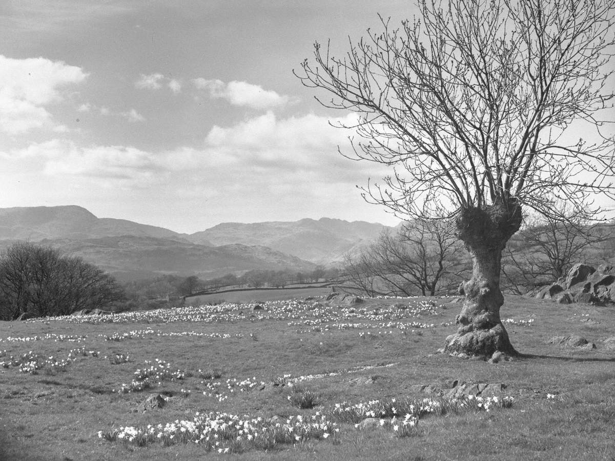 Spring at Troutbeck Art UK