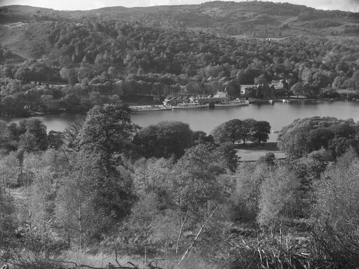 MV 'Swan', MV 'Teal' and SS 'Tern' at Lakeside