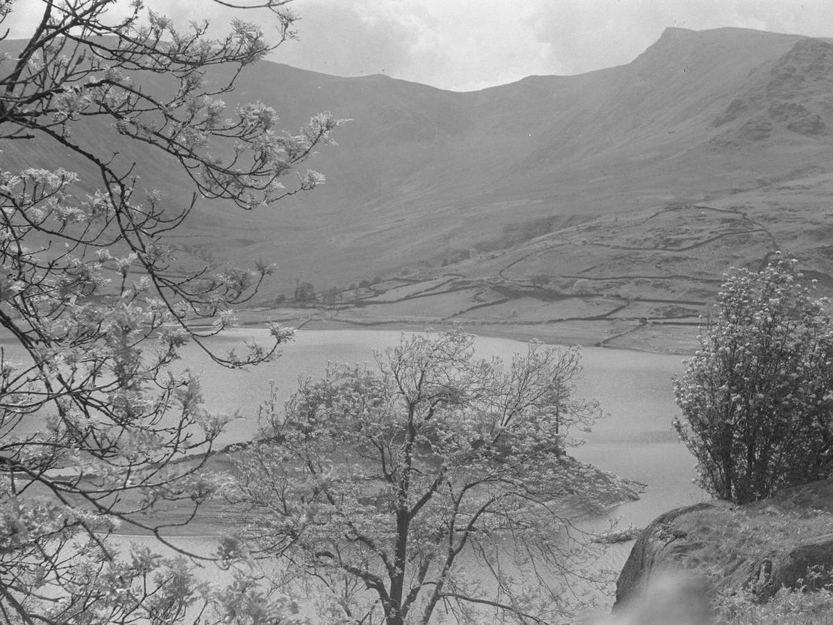 Lake View at Mardale