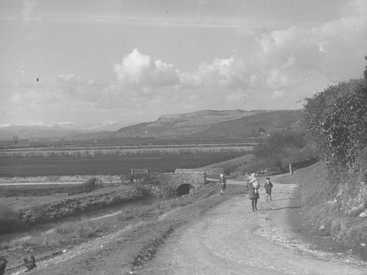 Children Walking at Bagot