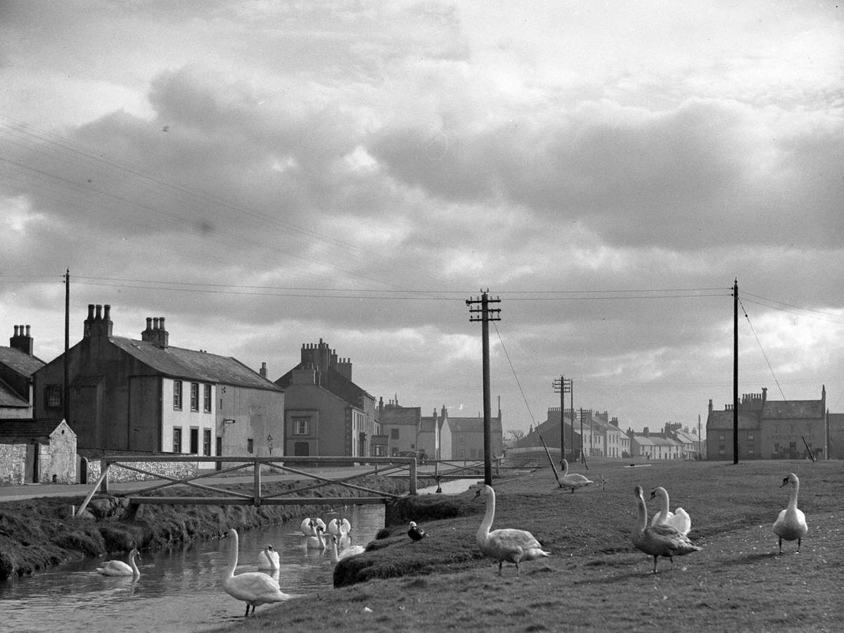 Geese at Silloth | Art UK