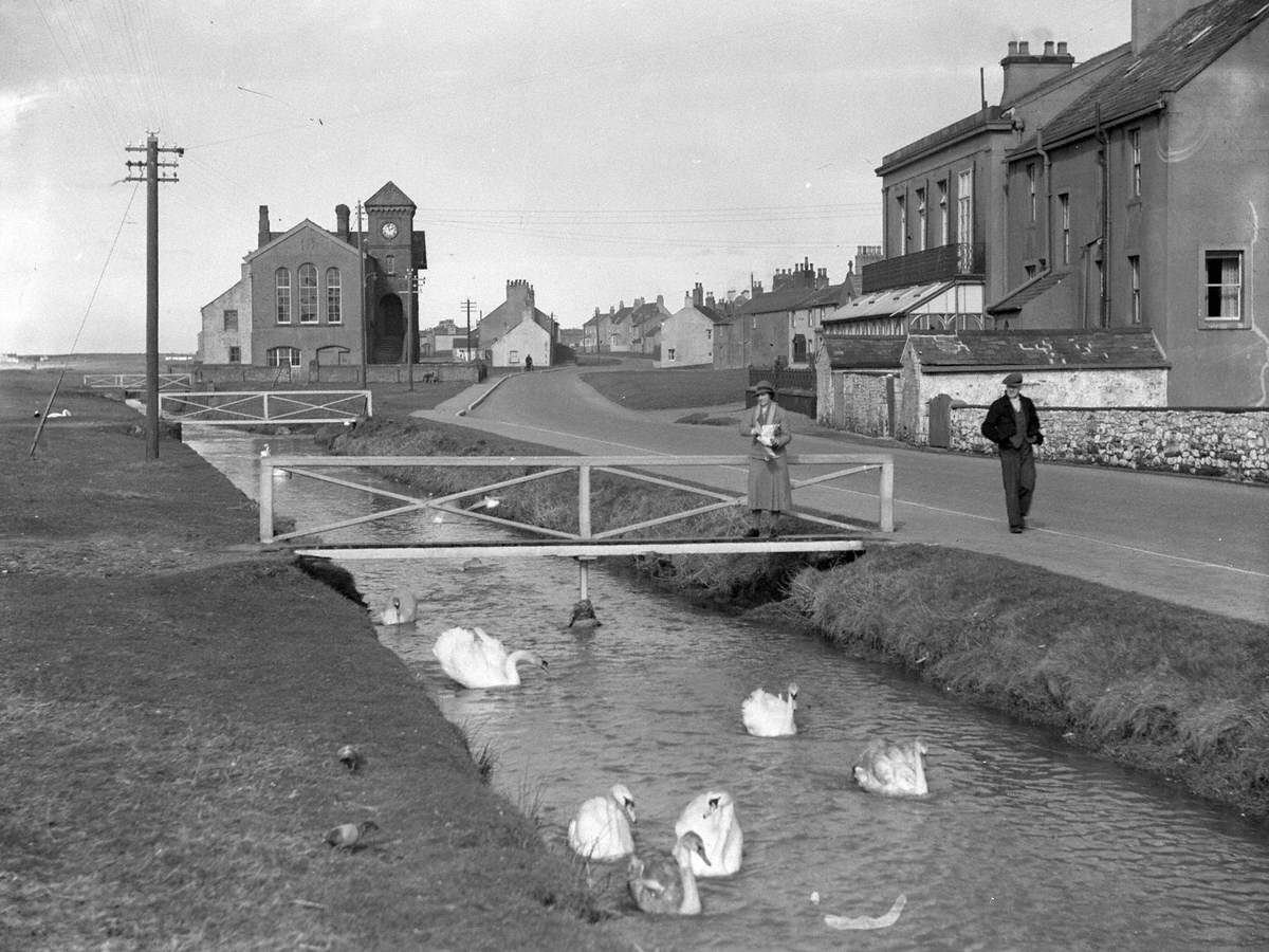 Geese at Silloth | Art UK